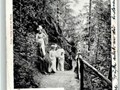 Promenadenweg1915
